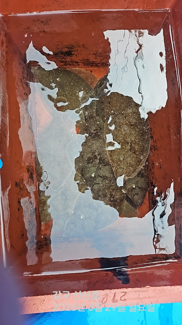 신신낚시 강구점 신신호_사진_20260329_16.jpg