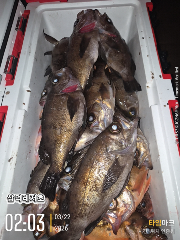 2026-03-22 02.03.58_.jpg