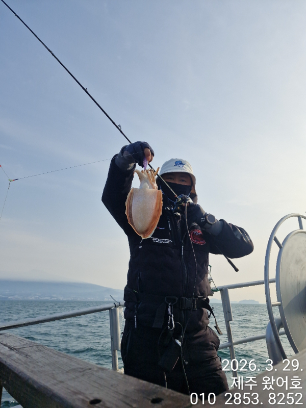 제주왔어호_사진_20260329_27.jpg
