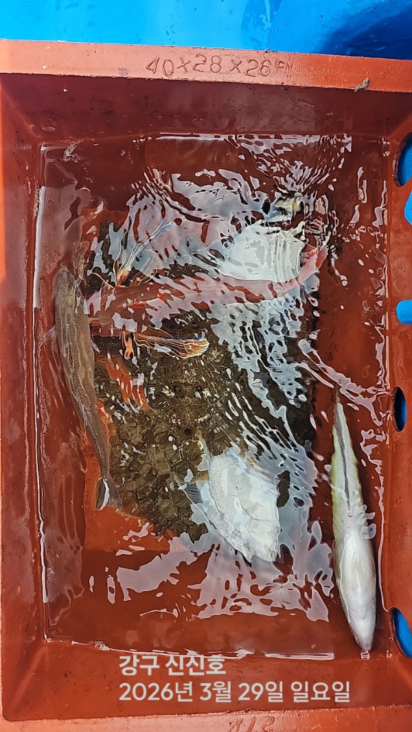 신신낚시 강구점 신신호_사진_20260329_9.jpg