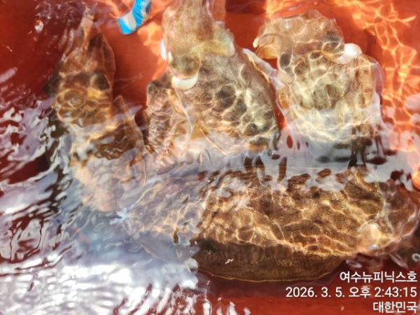 3월5일심해갑 (21).jpg