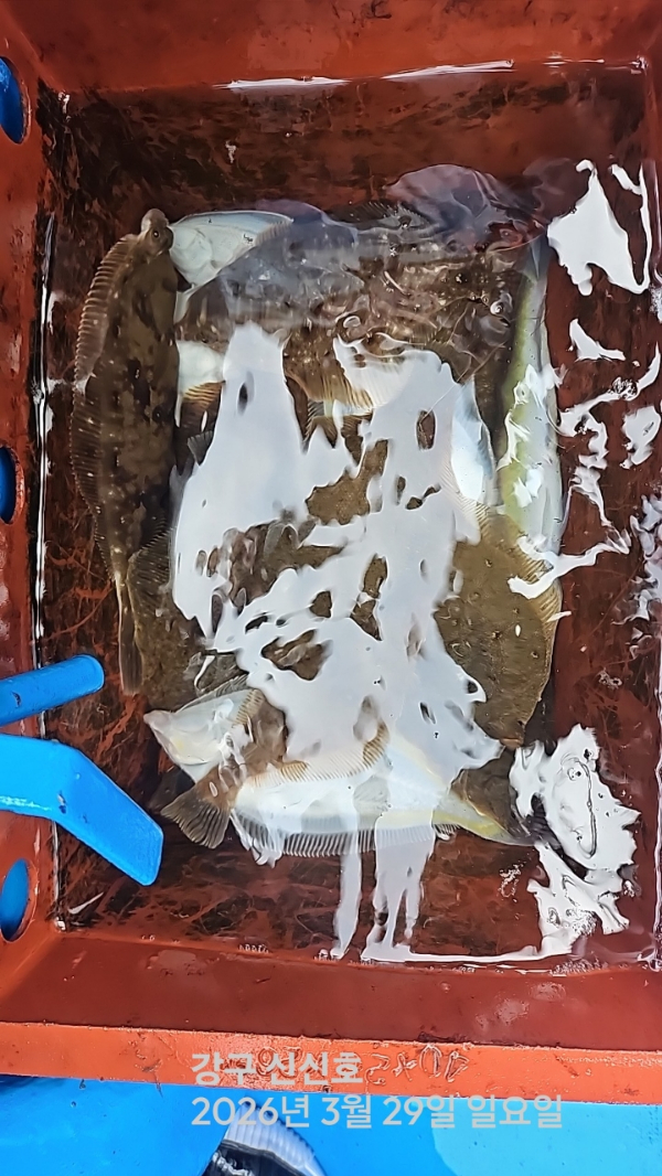 신신낚시 강구점 신신호_사진_20260329_15.jpg