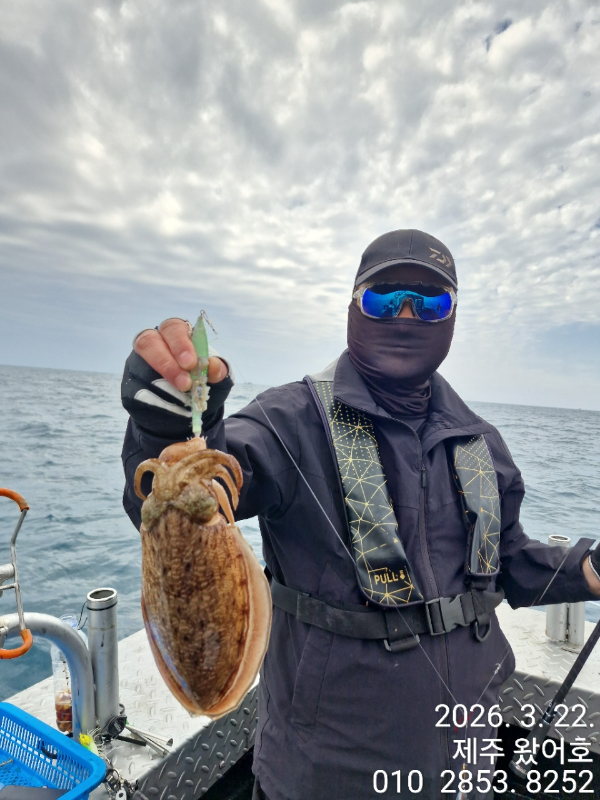 제주왔어호_사진_20260323_22.jpg