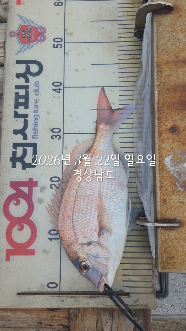1004피싱_사진_20260322_6.jpg