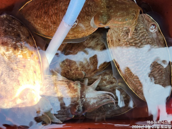 3월21일심해갑 (15).jpg