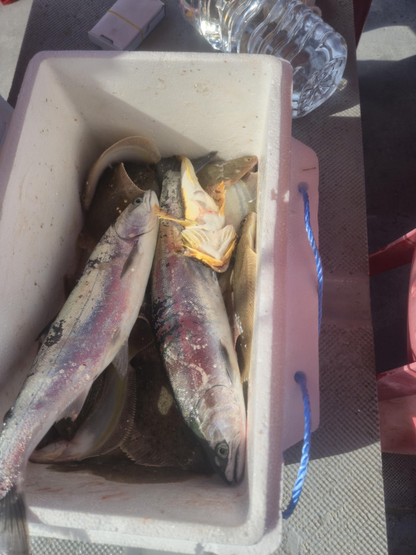 KakaoTalk_20260317_192619214 (1).jpg