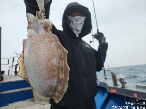 3월16일심해갑 (28).jpg