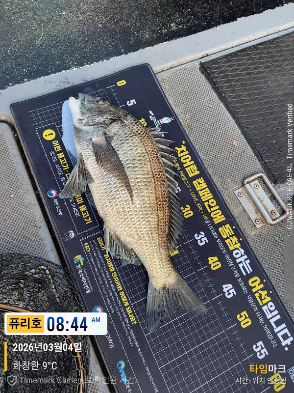 2026-03-04 08.44.24_(제목-퓨리호).jpeg