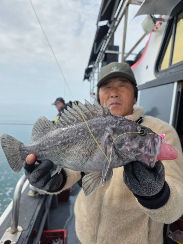 ꫛꫀꪝ✧‧˚ 태안 마검포 新출항호 .• _˚☀₊_사진_20260314_11.jpg