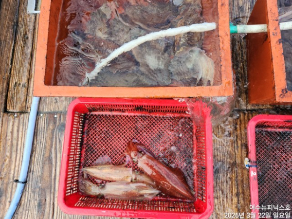 3월22일심해갑 (25).jpg