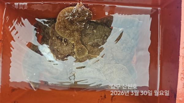 신신낚시 강구점 신신호_사진_20260330_18.jpg