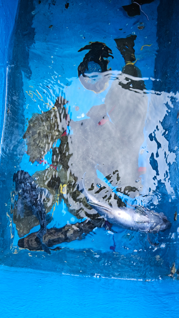 1000068150.jpg