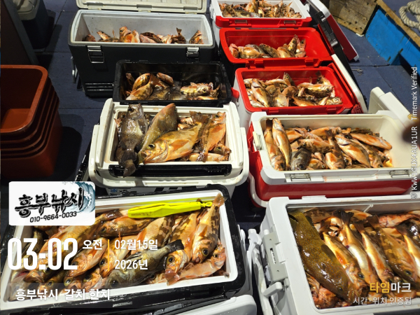 2026-02-15 03.02.24__(-흥부낚시  갈치.한치).jpg