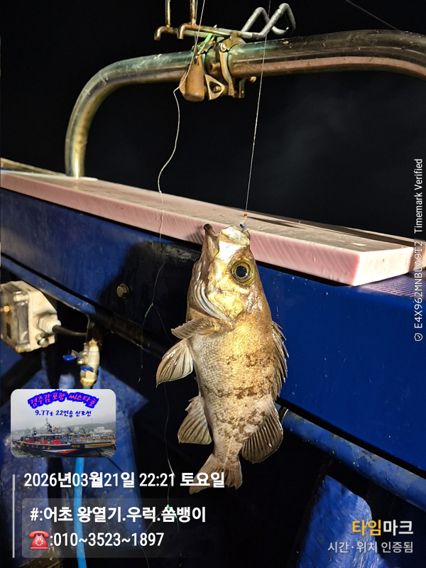 2026-03-21 22.21.49__(#-어초 왕열기.우럭.쏨뱅이)_(-010~3523~1897).jpg
