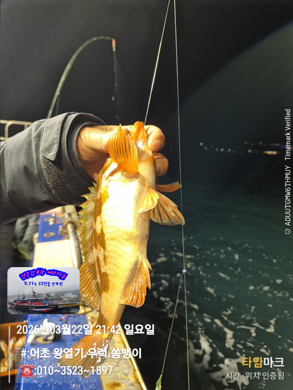 2026-03-22 21.42.07__(#-어초 왕열기.우럭.쏨뱅이)_(-010~3523~1897).jpg