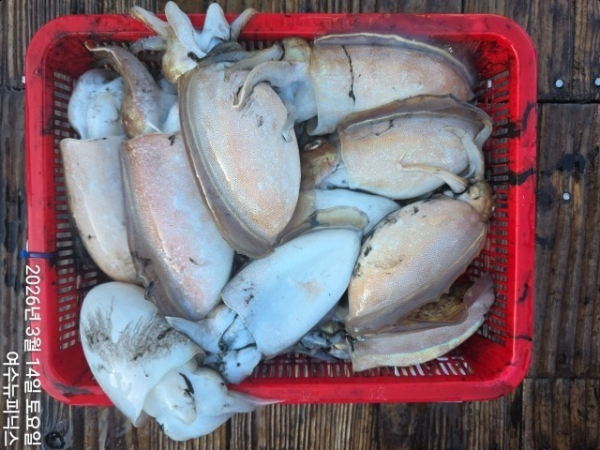 3월14일심해갑 (1)-vert.jpg