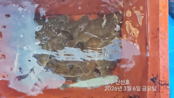신신낚시 강구점 신신호_사진_20260306_16.jpg