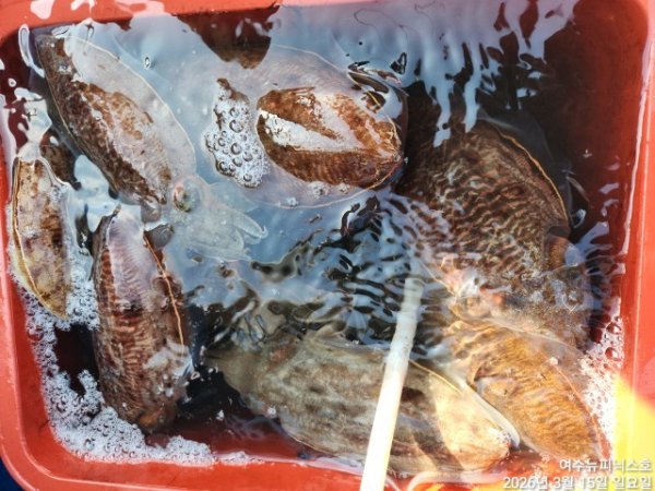 3월15일심해갑 (24).jpg