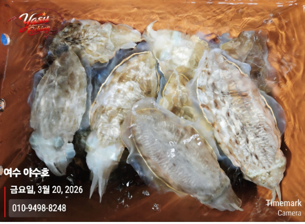 Screenshot_20260324_082229_Samsung Internet.jpg