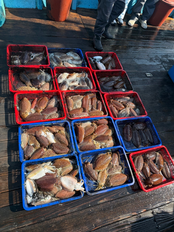 제주 쏘니호_사진_20260313_17.jpg