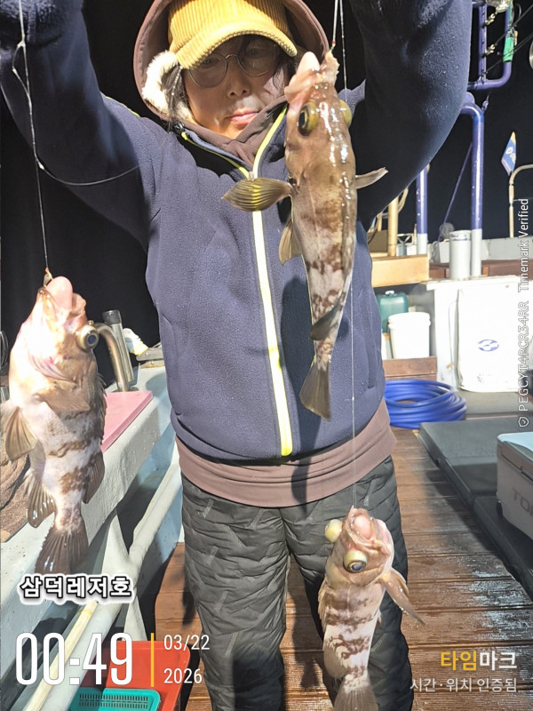 2026-03-22 00.49.34_.jpg