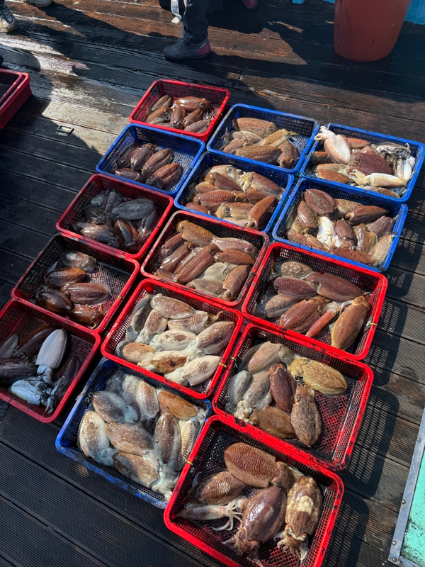 제주 쏘니호_사진_20260313_16.jpg