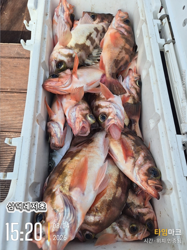 2026-03-04 15.20.21_.jpg