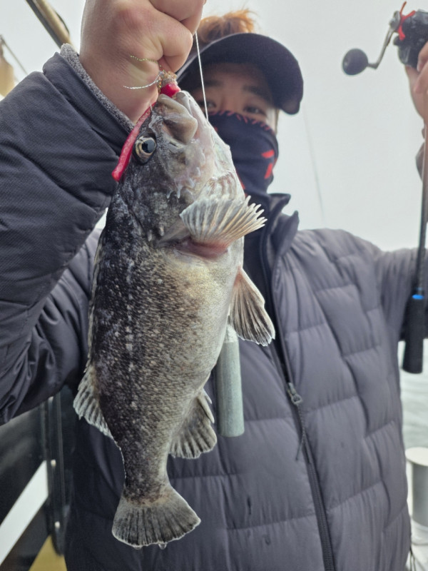 군산 선상낚시, 바다낚시 출조 전문 ☆서군산낚시☆_사진_20260328_9.jpg