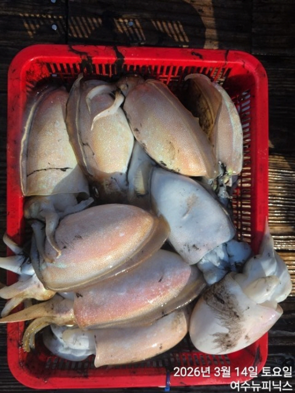 2093월14일심해갑 (48).jpg