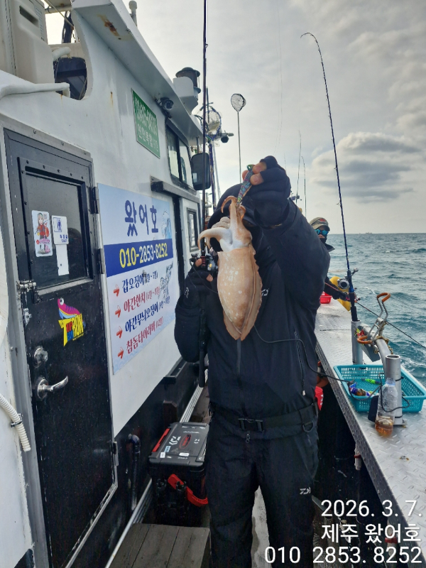 제주왔어호_사진_20260309_54.jpg