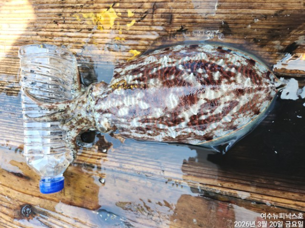 3월20일심해갑 (15).jpg