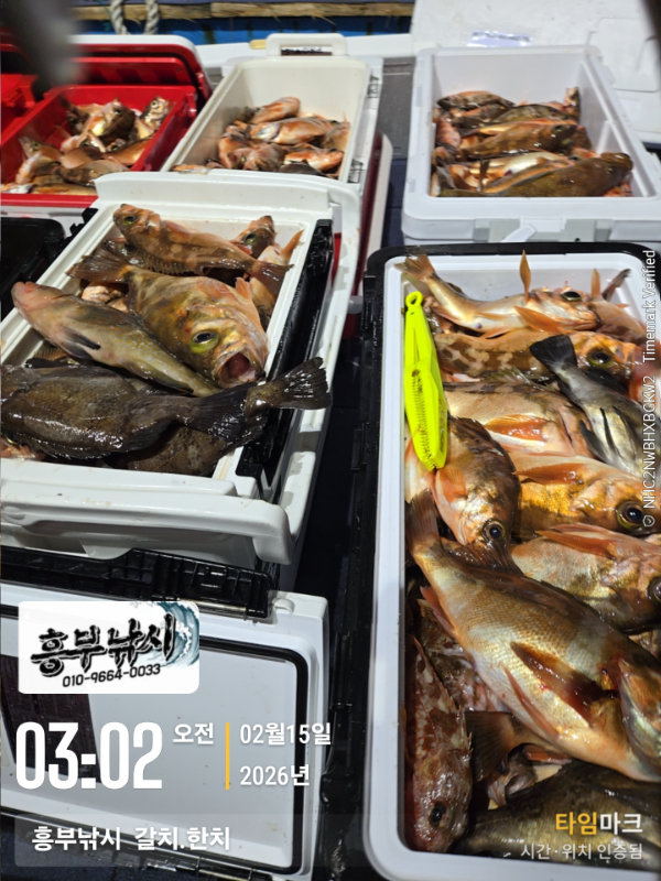 2026-02-15 03.02.07__(-흥부낚시  갈치.한치).jpg