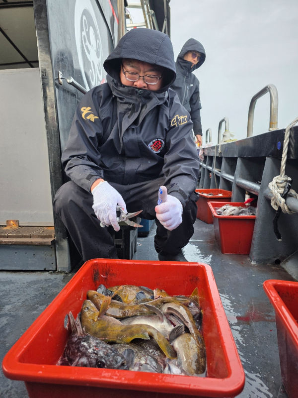 ꫛꫀꪝ✧‧˚ 태안 마검포 新출항호 .• _˚☀₊_사진_20260314_23.jpg