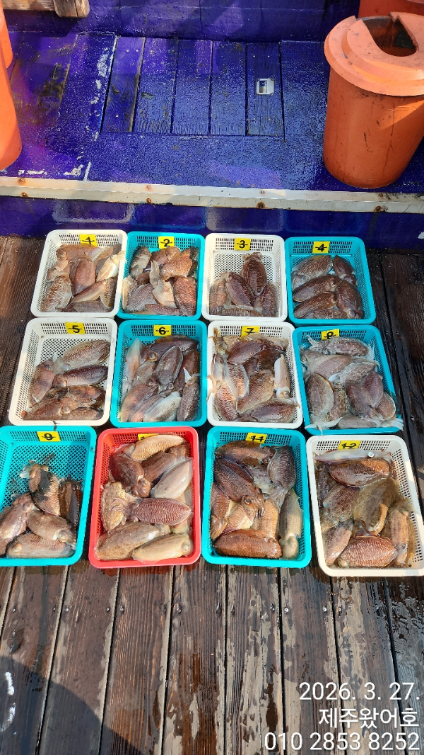 제주왔어호_사진_20260328_1.jpg