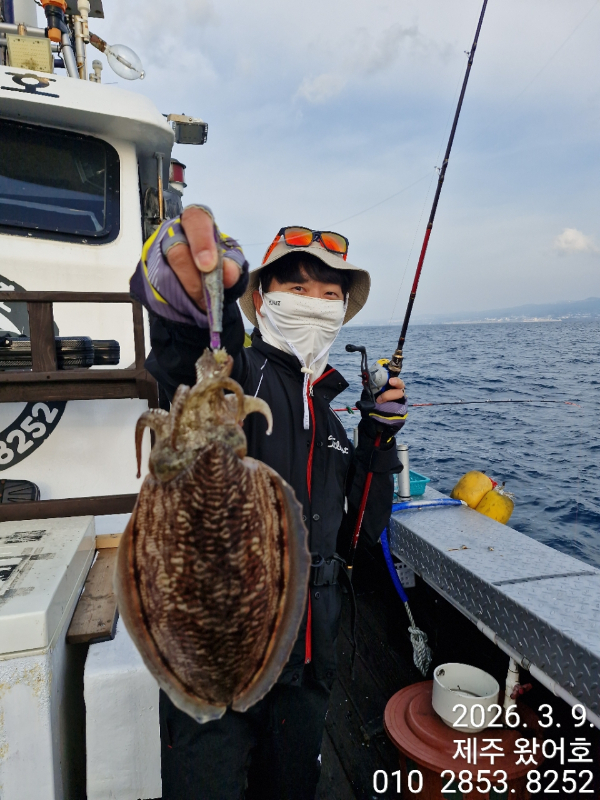 제주왔어호_사진_20260310_19.jpg