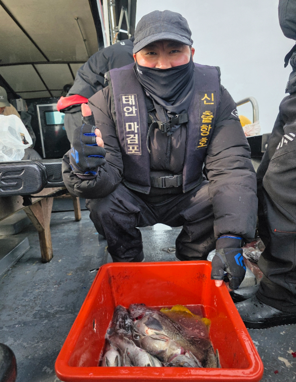 ꫛꫀꪝ✧‧˚ 태안 마검포 新출항호 .• _˚☀₊_사진_20260314_22.jpg