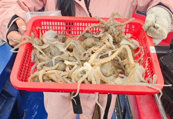 오천항 가즈아호_사진_20260330_12.jpg