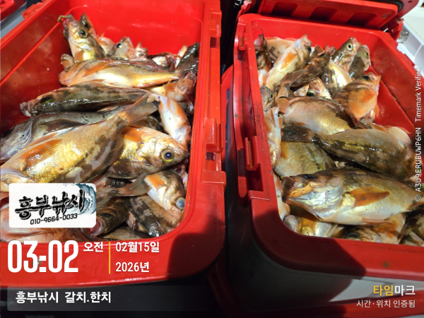 2026-02-15 03.02.19__(-흥부낚시  갈치.한치).jpg
