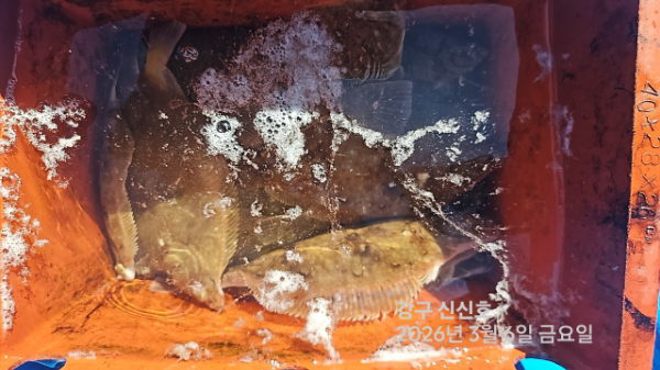 신신낚시 강구점 신신호_사진_20260306_15.jpg