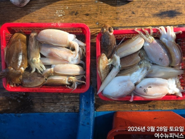 3월28일심해갑 (5).jpg