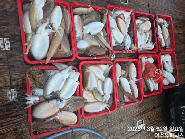 3월22일심해갑 (36).jpg