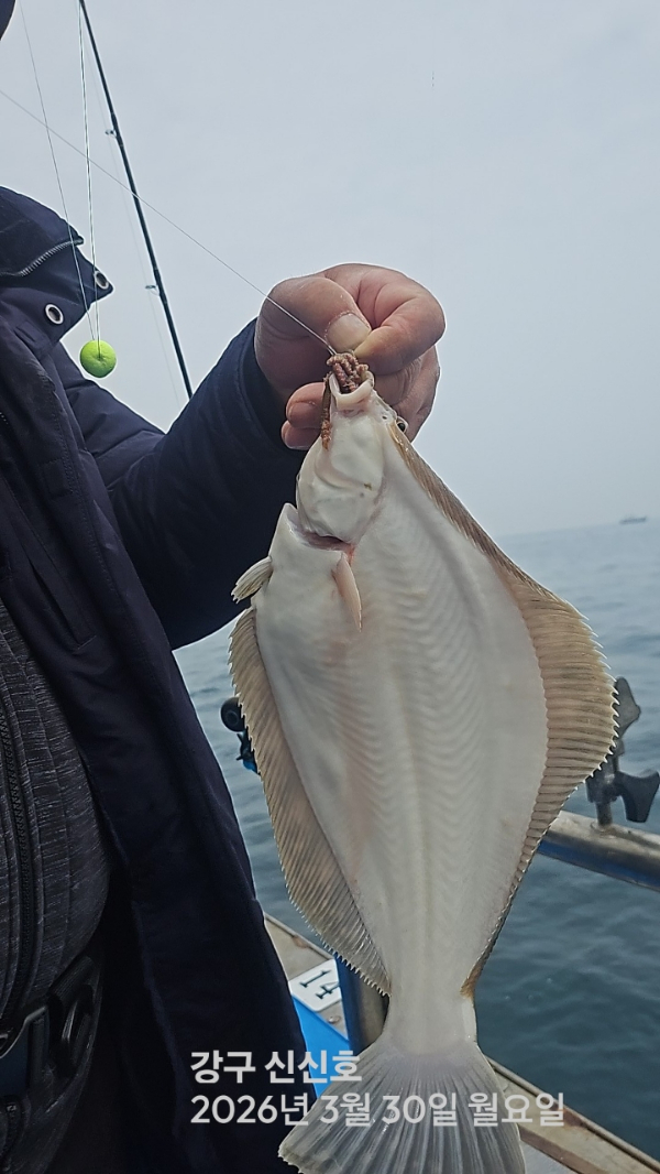 신신낚시 강구점 신신호_사진_20260330_4.jpg