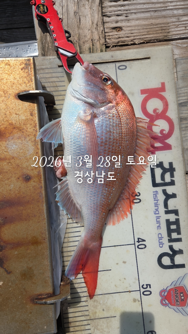 1004피싱_사진_20260328_10.jpg