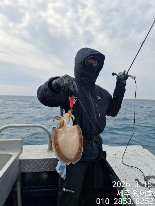 제주왔어호_사진_20260316_19.jpg