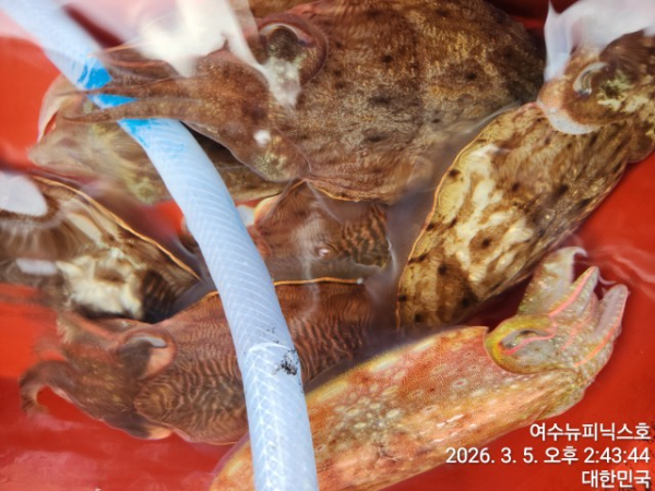 3월5일심해갑 (19).jpg