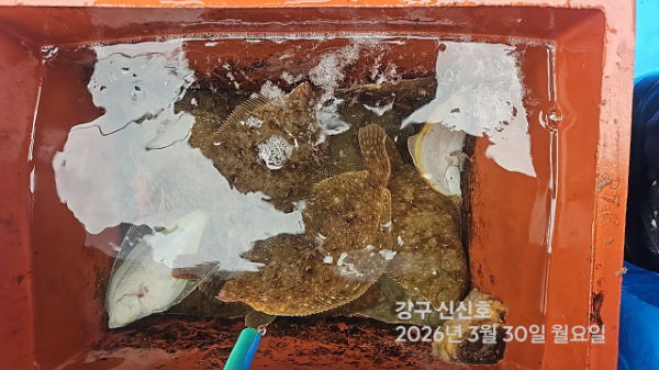 신신낚시 강구점 신신호_사진_20260330_17.jpg