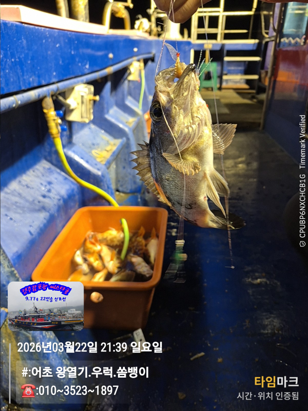 2026-03-22 21.39.40__(#-어초 왕열기.우럭.쏨뱅이)_(-010~3523~1897).jpg
