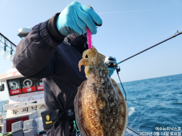 3월14일심해갑 (8).jpg