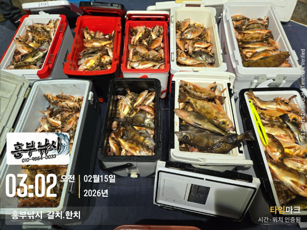 2026-02-15 03.02.39__(-흥부낚시  갈치.한치).jpg