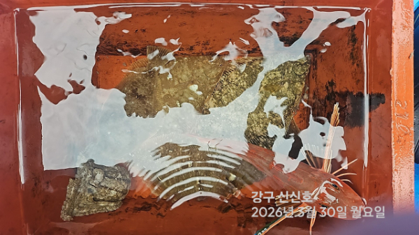 신신낚시 강구점 신신호_사진_20260330_12.jpg